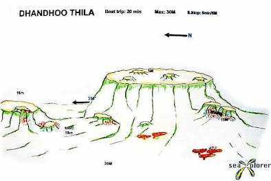 Dhandhoo Thila